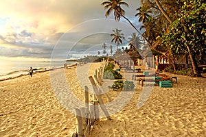 Tropical exotic beach on sunny morning in Zanzibar