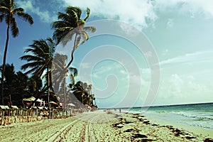 Tropical Exotic beach travel location koncept