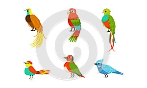 Tropical Exotic Birds Collection, Beautiful Bright Parrots Cartoon Vector Illustration