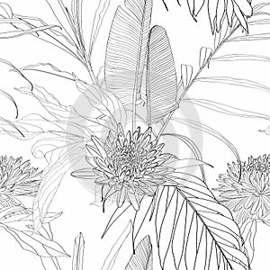 Tropical exotic floral line black white palm leaves and flowers seamless pattern, line background.