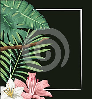 Tropical exotic flowers hibiscus palm black banner