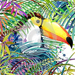 Tropical exotic forest, toucan bird, green leaves, wildlife, watercolor illustration.