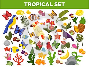 Tropical and exotic fruits, birds, fishes and plants vector set