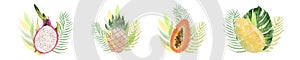 Tropical exotic fruits collection. Watercolor fruit set. Tropic Botanical fruit illustration.