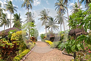 Tropical exotic garden