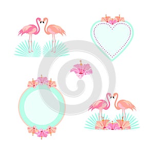 Tropical, exotic, Hawaiian vector design elements flamingo. Set of decorative elements and framework with flowers. Pink flamingos