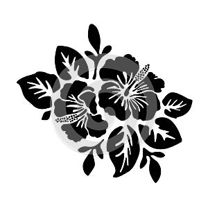 Tropical exotic hibiscus flowers vector silhouette