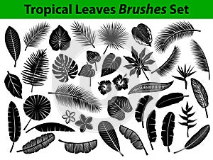 Tropical Exotic Leaves Silhouette Collection with some flowers in black color