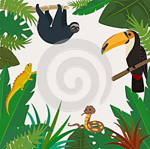 Tropical exotic plant and animal vector illustration. Summer green rainforest foliage and toucan, snake, lizard, sloth