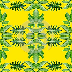 Tropical exotic plant leaf,green leaves pattern are made new color for nature concept,abstract background for textile and fabric