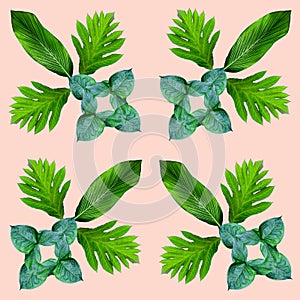 Tropical exotic plant leaf,green leaves pattern are made new color for nature concept,abstract background for textile and fabric