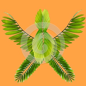 Tropical exotic plant leaf,green leaves pattern are made new color for nature concept,abstract background for textile and fabric