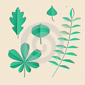 Tropical exotic plant palm leaf. Vector illustration.