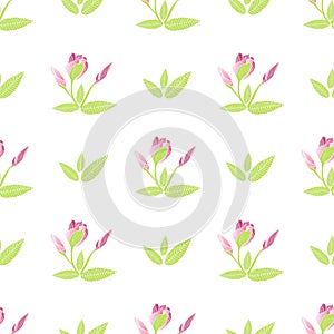 Tropical exotic plumeria flowers in simple elegant style. Decorative of frangipani floral seamless pattern.