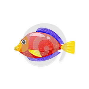 Tropical exotic red Discus fish, bright colorful coloring, vector isolated on white background, cartoon style