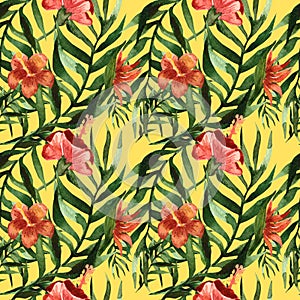 Tropical exotic tender lovely flowers hibiscus pattern