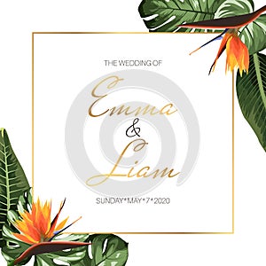 Tropical exotic wedding event invitation card template. Border frame green monstera leaves orange strelitzia flowers.