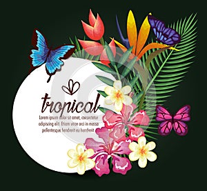 Tropical and exotics flowers with butterflies