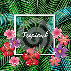 Tropical and exotics flowers and leafs