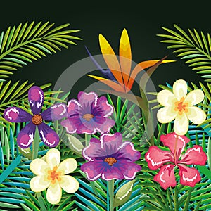 Tropical and exotics flowers and leafs