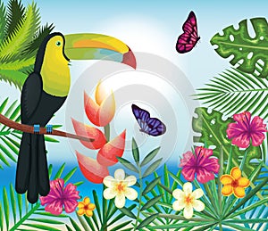 Tropical and exotics flowers with toucan