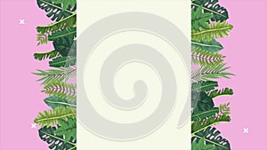 Tropical exotics leafs ecology animation frame in pink and green background