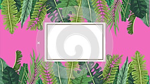 Tropical exotics leafs ecology animation in square frame and pink background