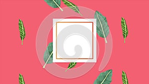 Tropical exotics leafs ecology animation in square frame pink color background