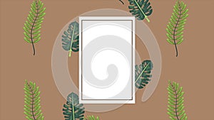 Tropical exotics leafs ecology animation in square frame wooden background