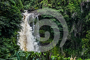 Tropical Falls 2