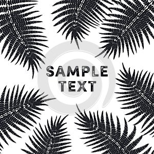 Tropical Fern Leaves frame background in black and white