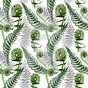 Tropical fern leaves pattern in a watercolor style.