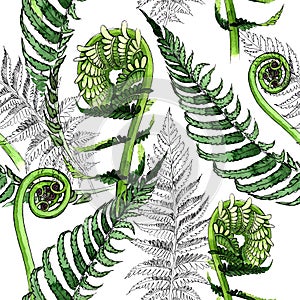 Tropical fern leaves pattern in a watercolor style.