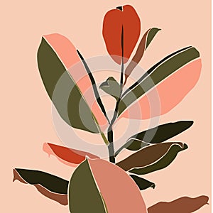 Tropical ficus leaves in a minimalist trendy style. Silhouette of a plant in a contemporary simple abstract Vector