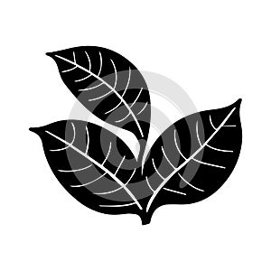 Tropical ficus plant leav icon illustration, black on white background