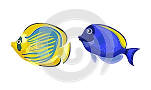 Tropical Fish for Freshwater and Saltwater Aquarium Vector Set