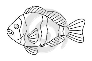 Tropical Fish Hand Drawn line art Coloring page