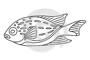 Tropical Fish Hand Drawn line art Coloring page