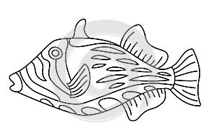 Tropical Fish Hand Drawn line art Coloring page