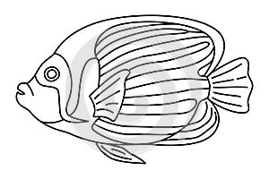 Tropical Fish Hand Drawn line art Coloring page