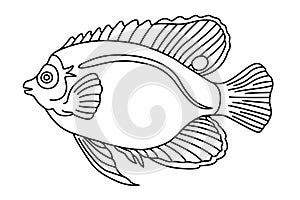 Tropical Fish Hand Drawn line art Coloring page