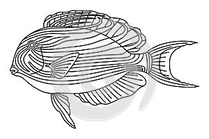 Tropical Fish Hand Drawn line art Coloring page