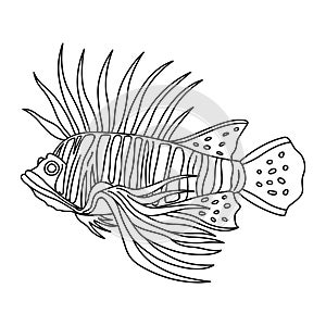 Tropical Fish Hand Drawn line art Coloring page