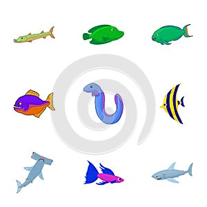 Tropical fish icons set, cartoon style photo