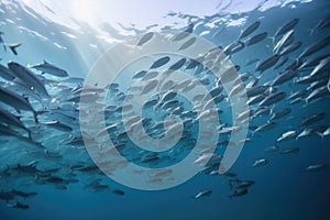 tropical fish school swimming in clear ocean waters