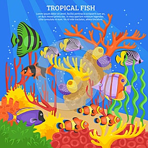 Tropical Fish Sea Background