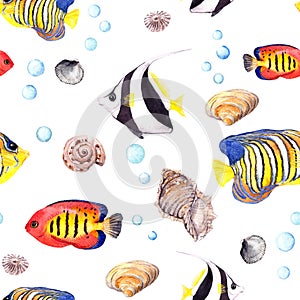 Tropical fish and seashell. Repeating seamless pattern. Watercolor