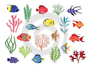 Tropical fish and seaweeds isolated on white. Big vector aquarium set