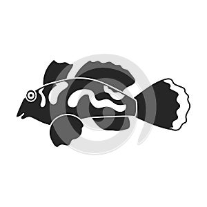 Tropical fish vector black icon. Vector illustration exotic aunafish on white background. Isolated black illustration