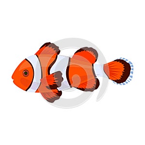 Tropical fish vector icon.Cartoon vector icon isolated on white background tropical fish.